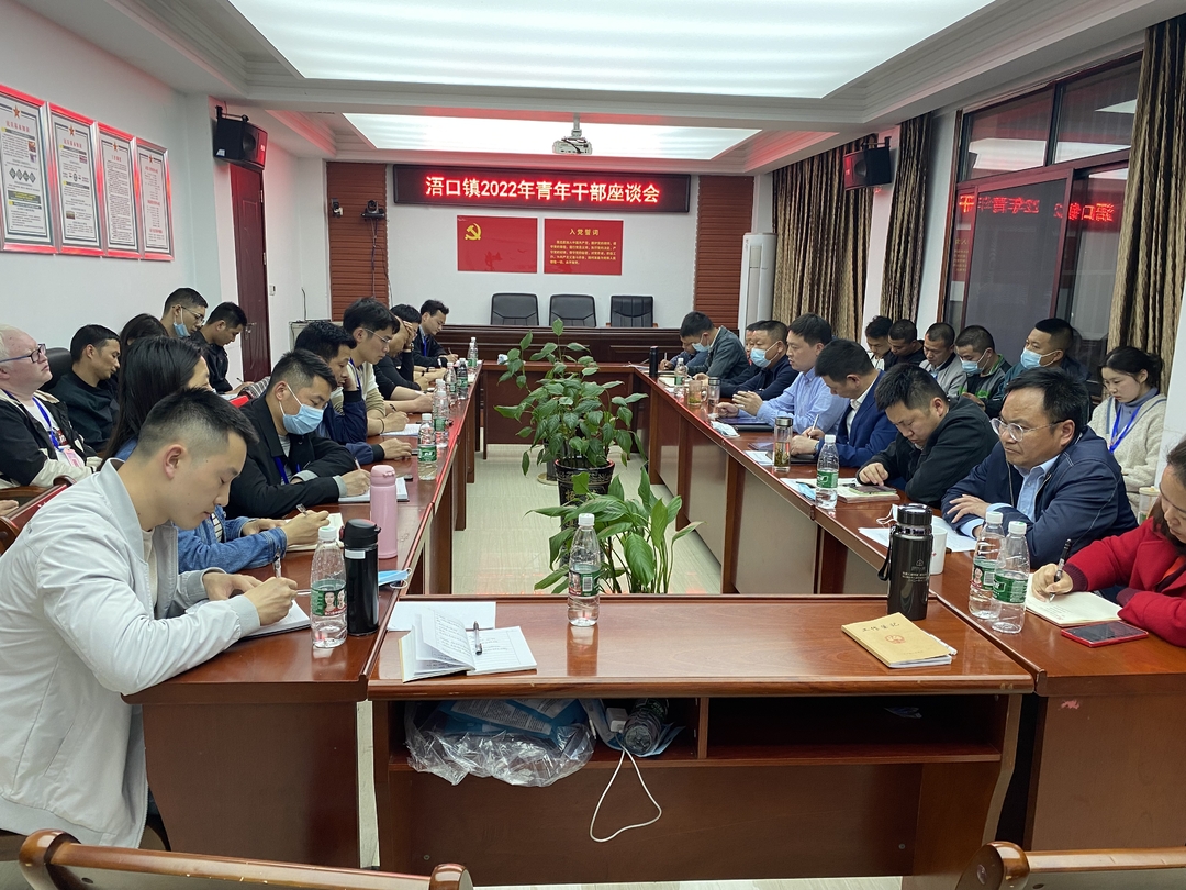 立足岗位担当作为，履职尽责创先争优——浯口镇召开青年干部座谈会