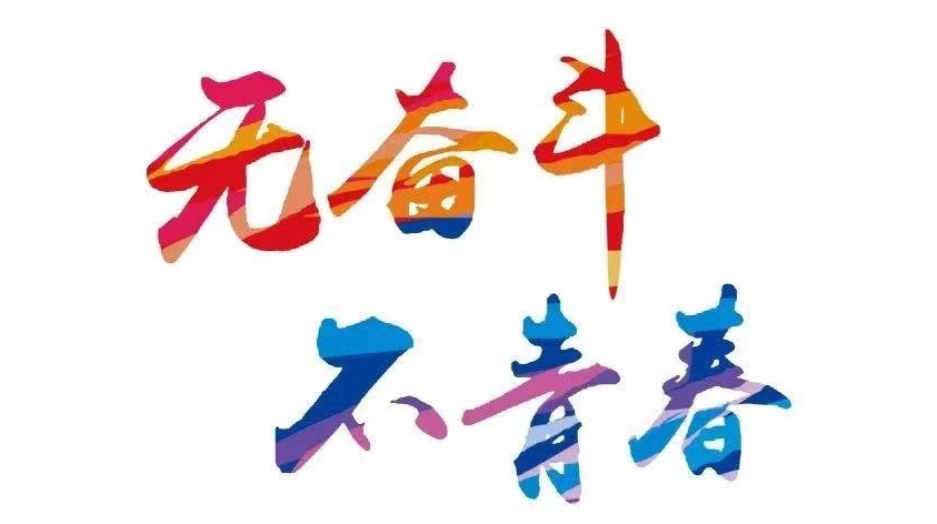 踔厉奋发 笃行致远——瓮江镇召开青年干部座谈会