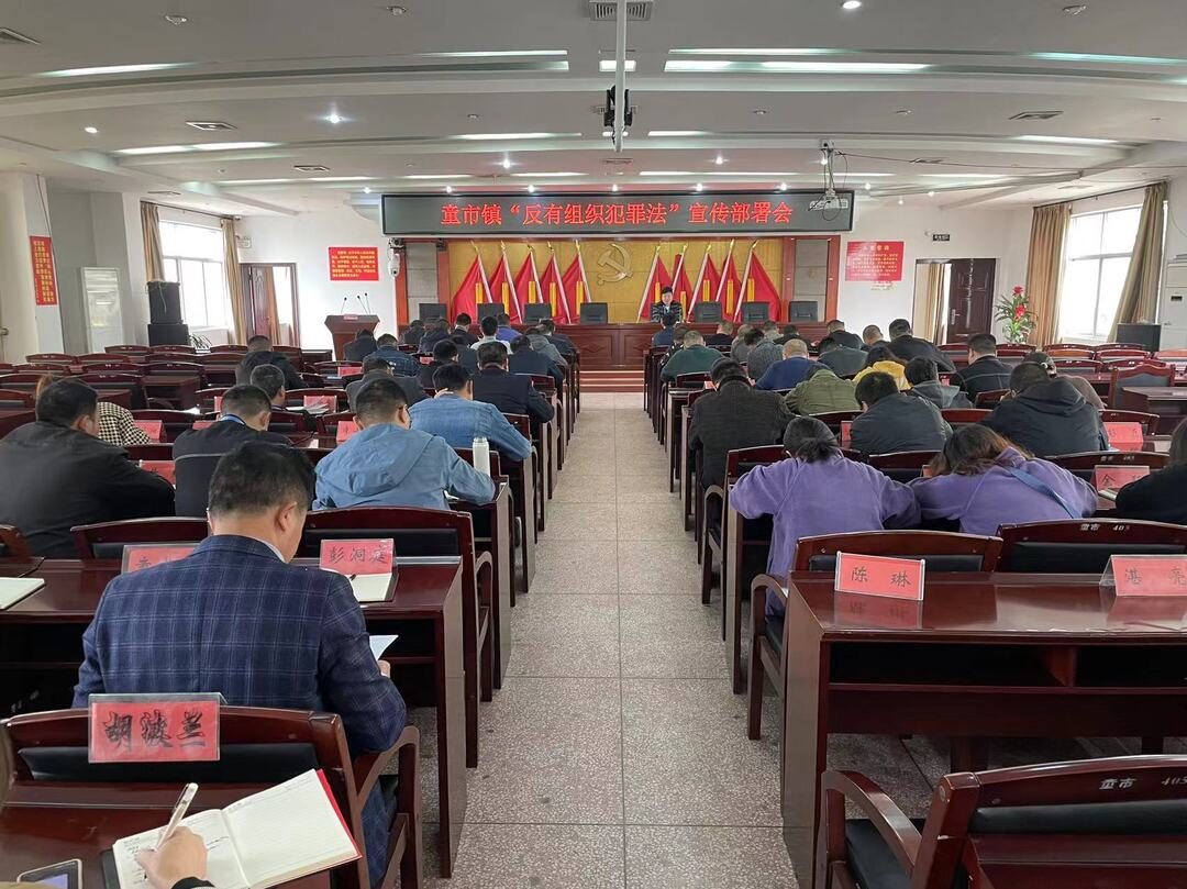童市镇组织开展《反有组织犯罪法》学习宣传