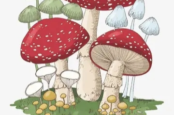 汉昌街道：科普 | 这些蘑菇可能有剧毒！千万远离…