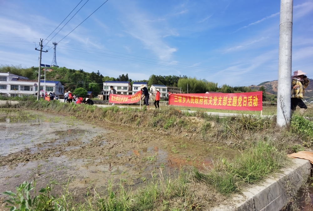 【基层党建】“四亮”创建展风采，抢抓农时助春耕——三墩乡组织开展助力春耕生产主题党日活动