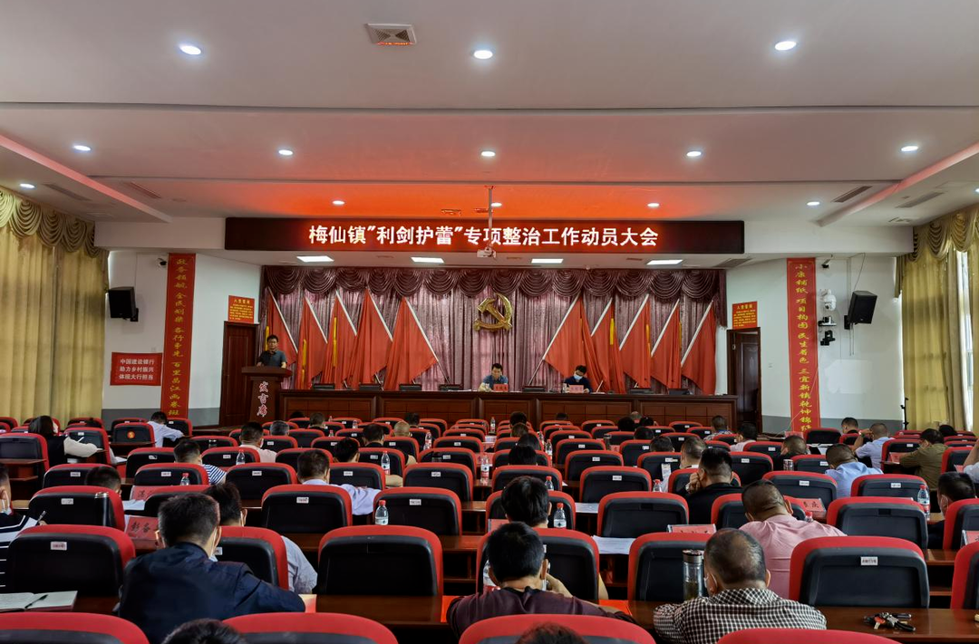 梅仙镇：多措并举开展“利剑护蕾”专项整治行动