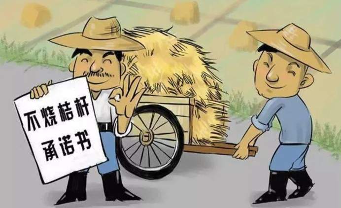 【重要提醒】危害健康又违法！焚烧秸秆杂草这件事，千万不要再做了！