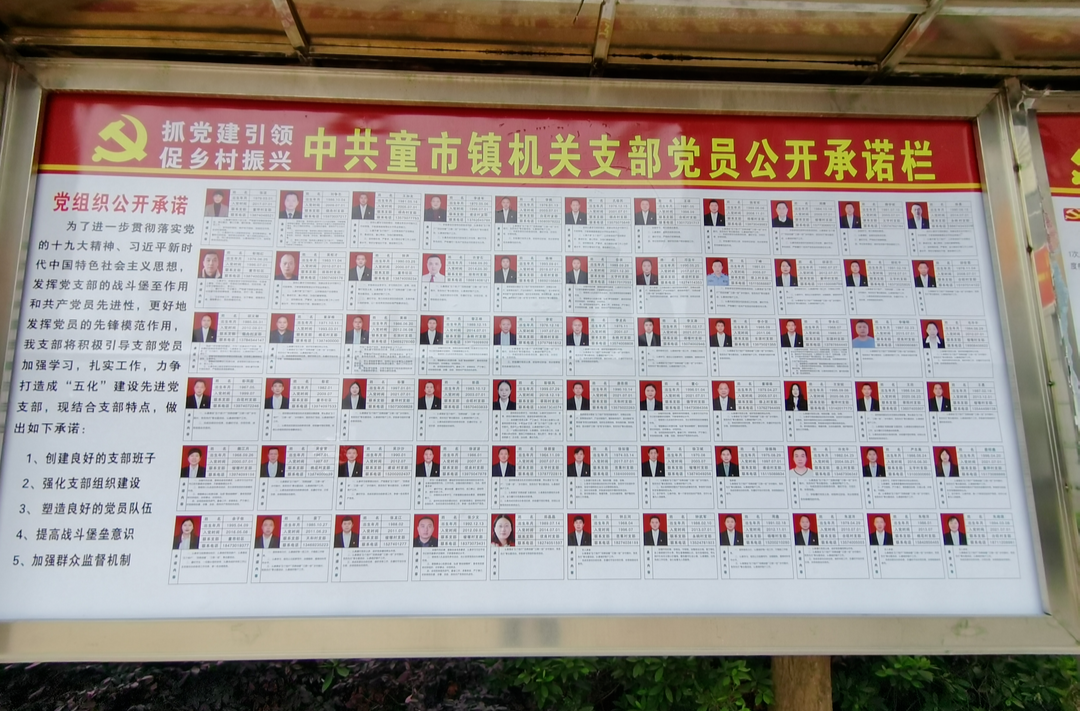 【四亮创建在行动·第三期】童市镇机关支部党员以“三员”亮身份、亮业绩、亮形象