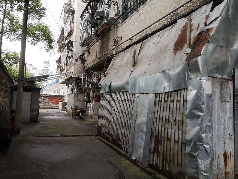 公共通道内私搭乱建棚子严重
