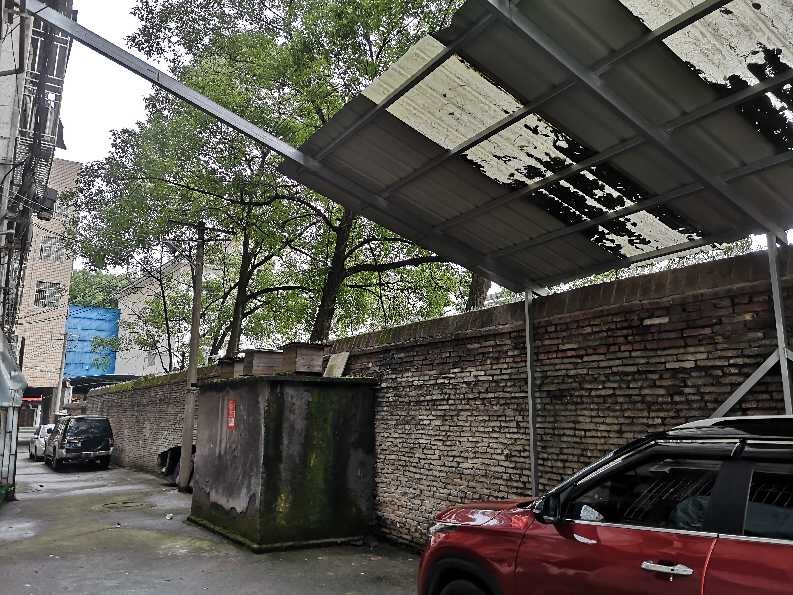 公共通道内私搭乱建棚子严重
