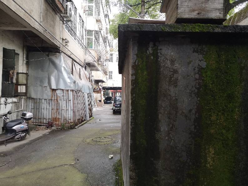 公共通道内私搭乱建棚子严重