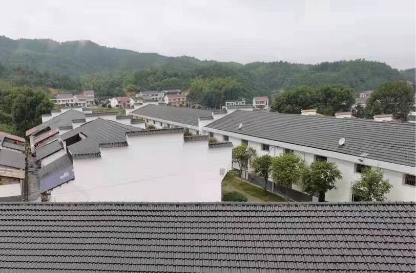 伍市镇马头村：先行先试！探索农村人居环境治理新模式