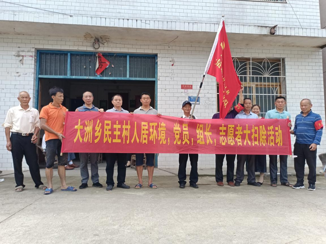 大洲乡：党员志愿者引领清扫大行动