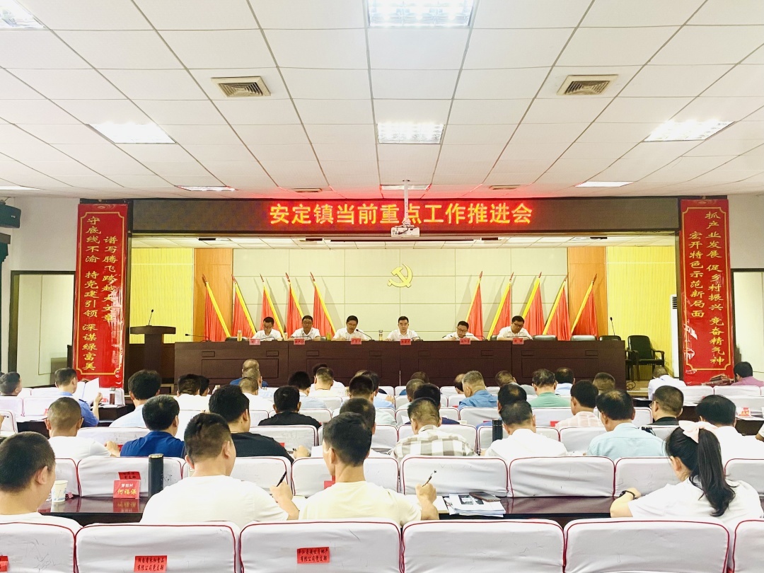 安定镇召开当前重点工作推进会