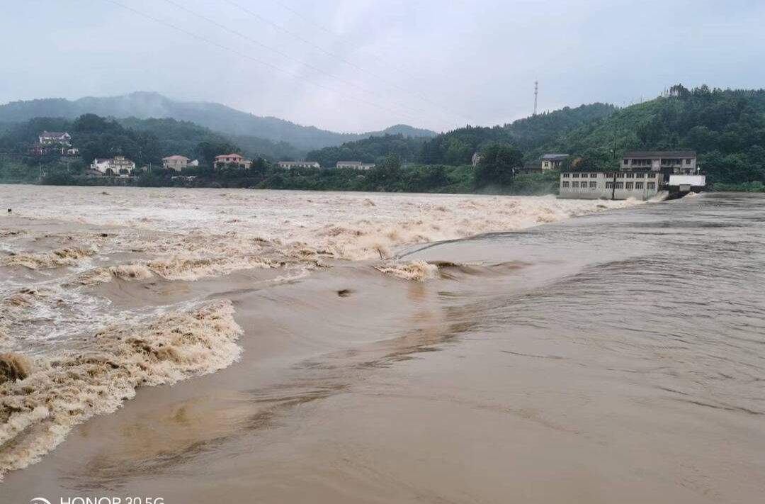 伍市镇：不惧暴雨！党群连心战汛情