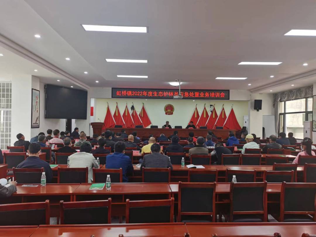 虹桥镇：用“足迹管理”走稳林长制“最后一步”
