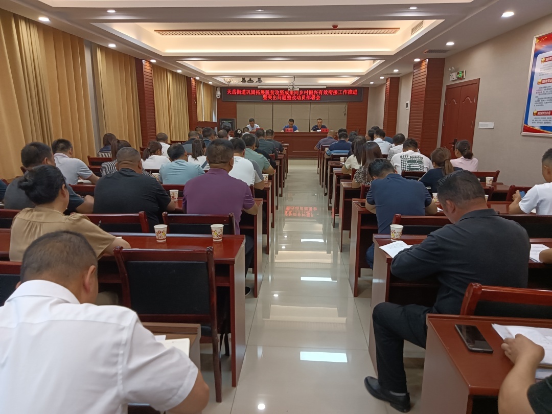 天岳街道：召开巩固拓展脱贫攻坚成果同乡村振兴有效衔接工作推进暨突出问题整改动员部署会