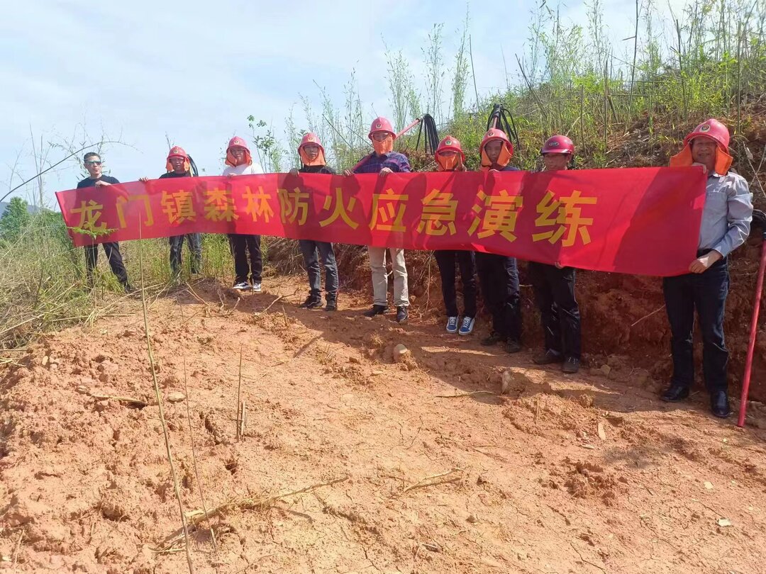 龙门镇：坚决推行“林长制”，让绿水青山“美”起来
