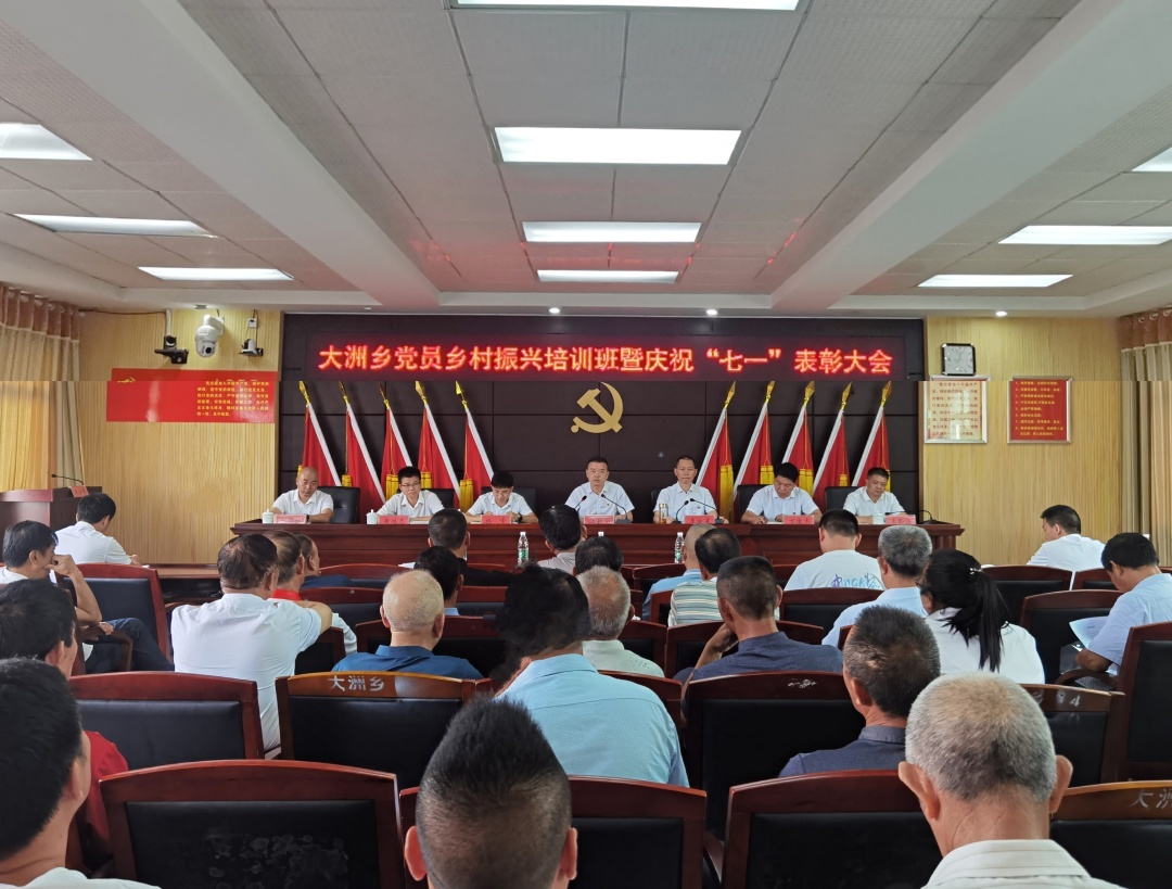 大洲乡召开党员乡村振兴培训班暨庆祝“七一”表彰大会