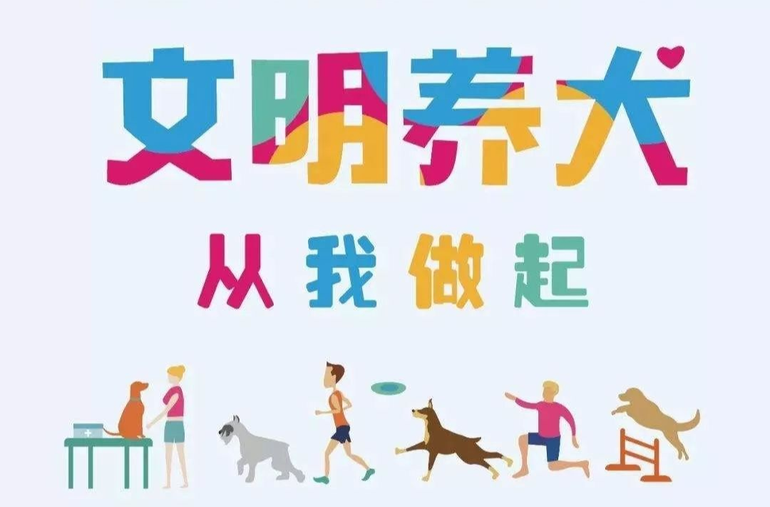 【倡议书】文明养犬，从我做起