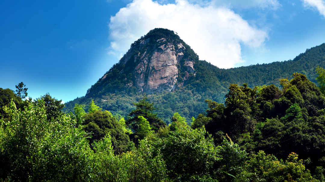 寻找最美的你！——“文明我先行·美在福寿山”首届最美系列评选表彰活动启动啦！
