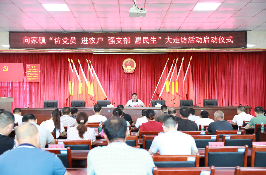 向家镇开展“访党员，进农户，强支部，惠民生“大走访活动