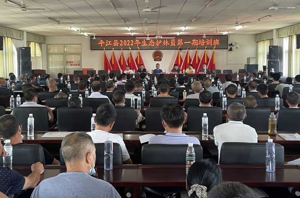 推深做实林长制，助力实现“林长治”