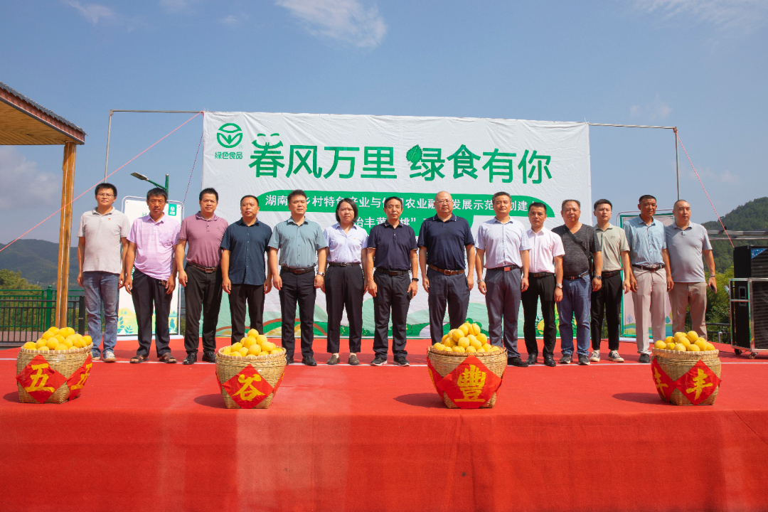黄桃喜丰收 致富振兴路｜福寿山镇成功举办“怡丰黄金桃”开园仪式