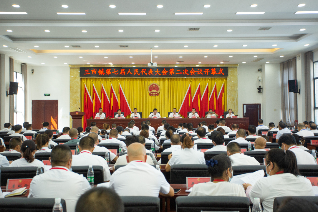 勠力同心凝合力，实干担当谋发展|三市镇第七届人民代表大会第二次会议胜利召开