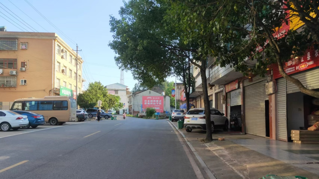 大洲乡：多措并举开展综合环境整治行动