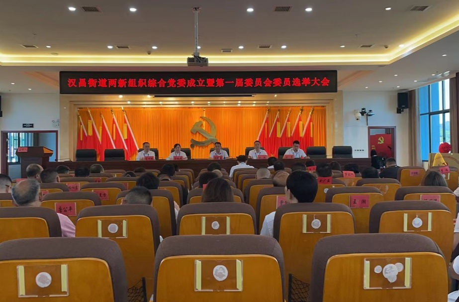 以党建促发展，以发展强党建——平江县首个街道两新组织综合党委在汉昌街道成立