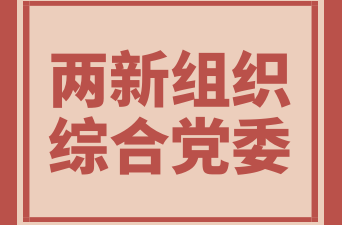 夯实党建基础，助推天岳发展！天岳街道成立两新组织综合党委