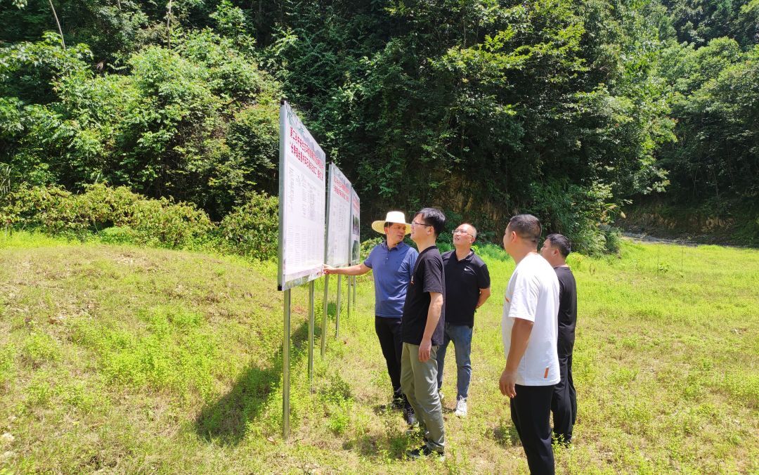 长寿镇“利剑”出鞘 “因山制宜”开展生态修复
