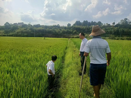 在为民办实事中彰显支部战斗堡垒作用