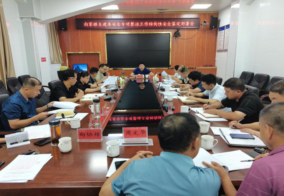 向家镇:“快，准，细”推进经营性自建房安全鉴定工作