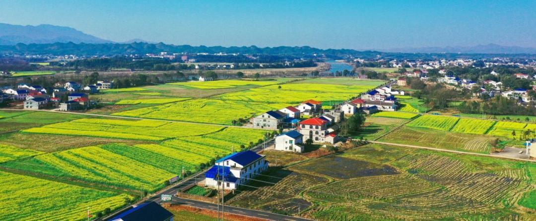 三市镇高和村:“三强”赋能创建乡村振兴示范村。