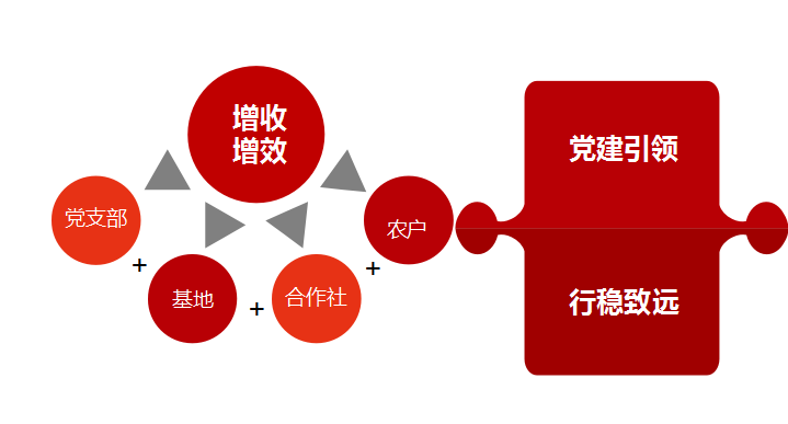 三市镇高和村党支部 尝”鲜”思维壮集体经济