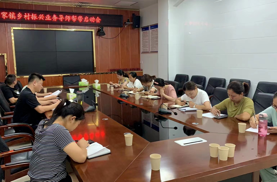 向家镇：推行“导师帮带制”，助力乡村振兴