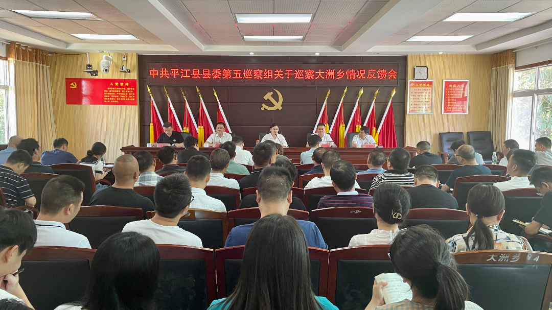 县委第五巡察组关于巡察大洲乡情况反馈会召开