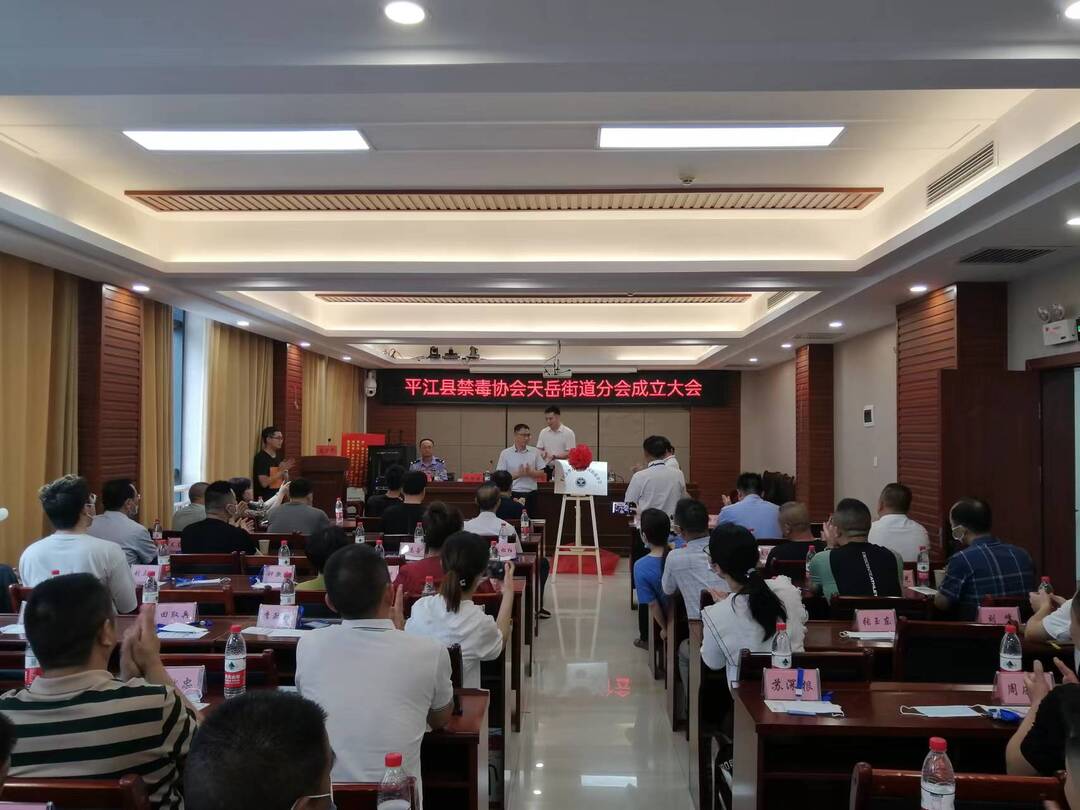 天岳街道：召开平江县禁毒协会天岳街道分会成立大会