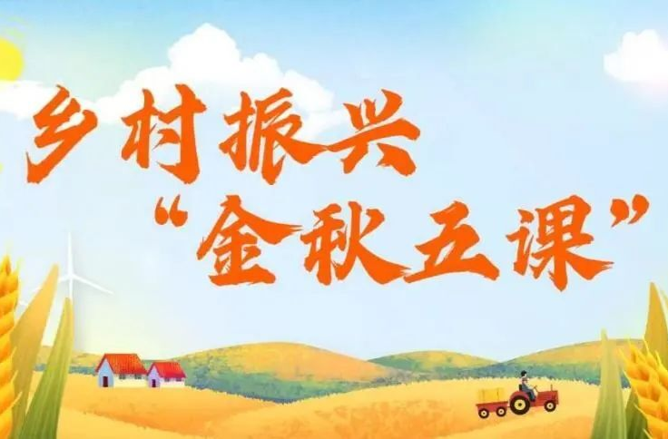 安定镇开展“金秋五课”培训 掀起乡村振兴新高潮