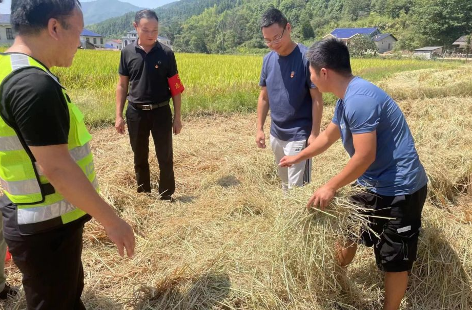 长寿镇：推进“利剑”行动，严禁秸秆焚烧
