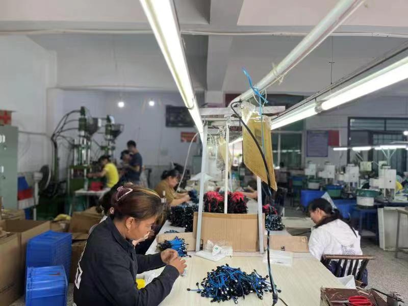 向家镇：产业车间促就业，助铺群众幸福路
