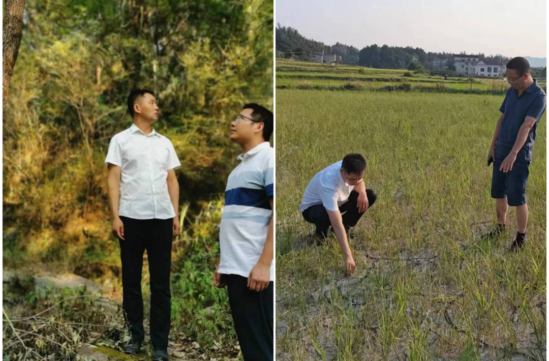 【利剑行动】上塔市镇集中开展“一巡三查”行动，坚决打赢抗旱保绿攻坚战