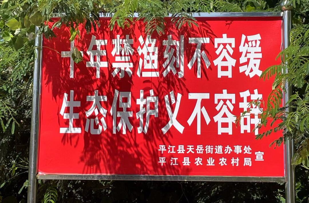 天岳街道：加强禁渔禁钓 筑牢生态防线