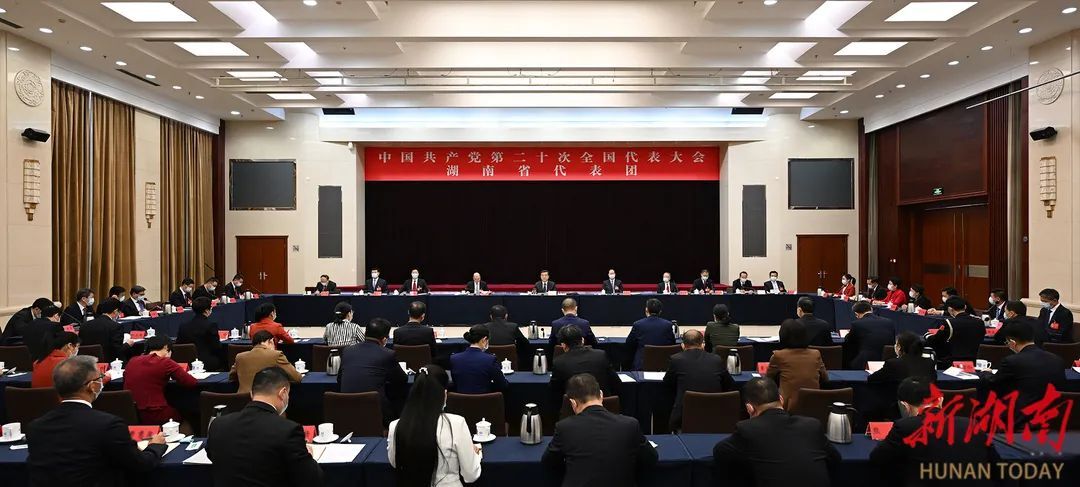 湖南代表团举行全体会议 张庆伟主持并讲话