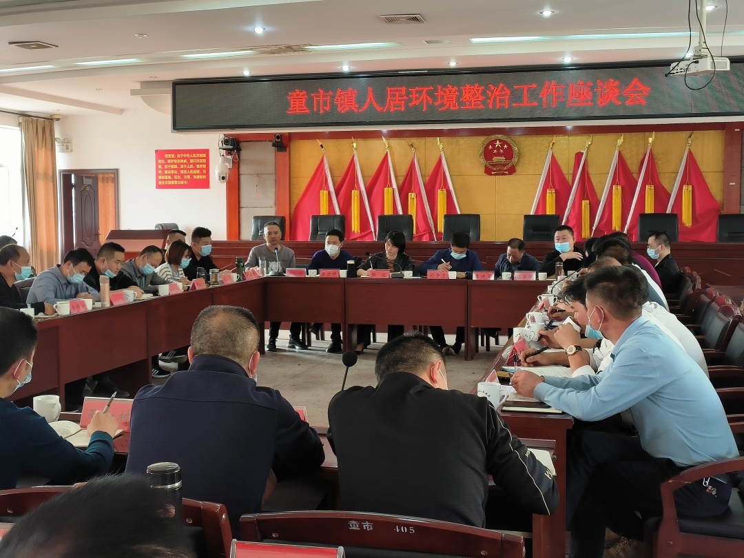 “利剑”行动丨童市镇召开人居环境整治工作座谈会