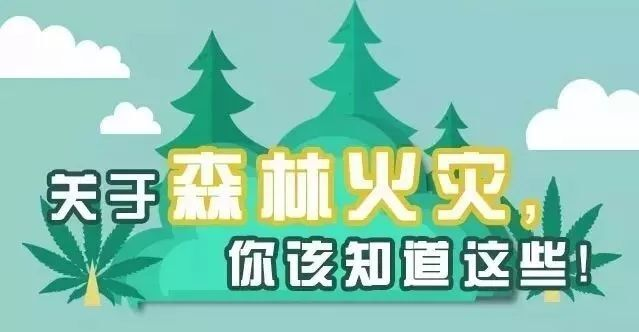 森林防火丨这些知识要牢记！