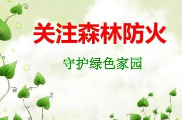 森林防火指南，看这里！！
