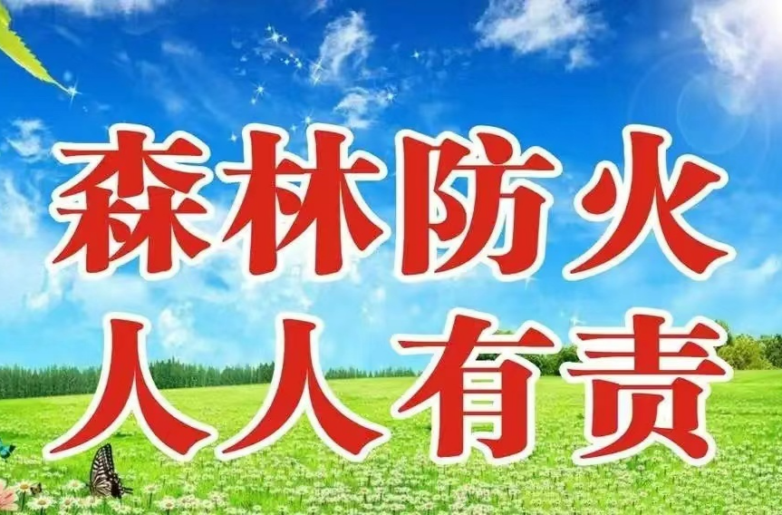 事关森林防火！致全镇广大党员的一封信