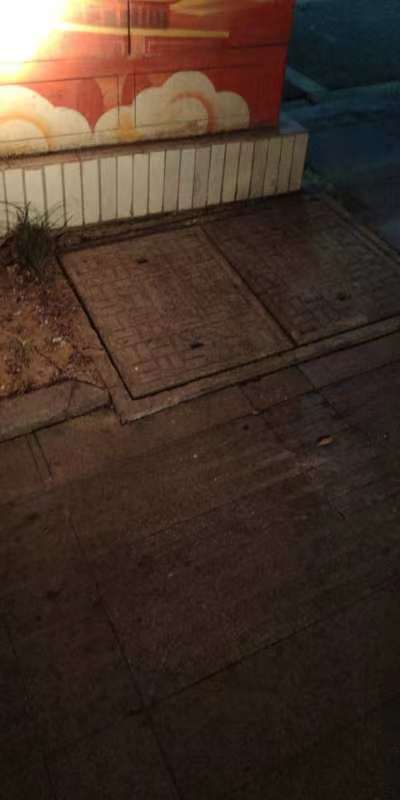449_1668473903_hd.jpeg