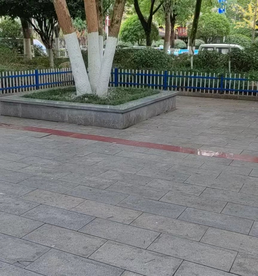 756_1669105659_hd.jpeg