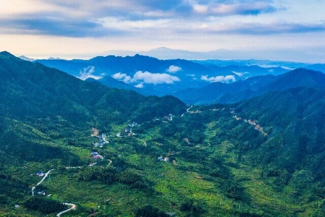 做好“辣椒”文章，做强做大产业——虹桥镇大青石村高山有机辣椒产业助推产业振兴