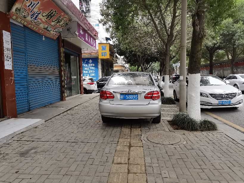 私家车交通违法